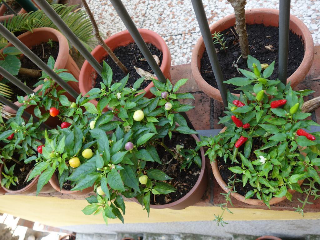 B&B Giulia Taormina Eksteriør bilde